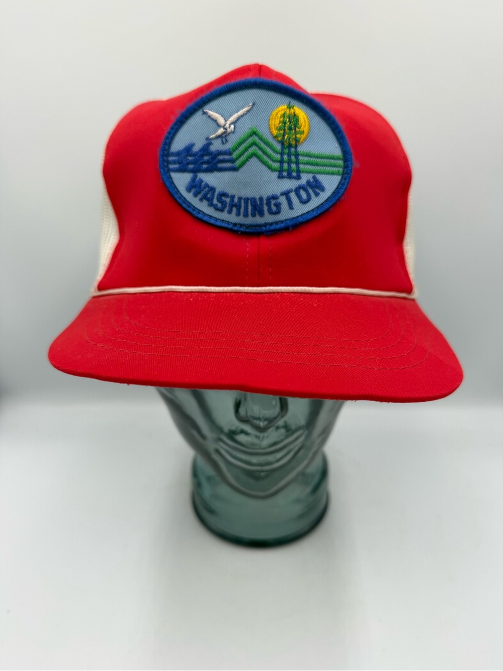 Vintage Washington State SnapBack Trucker Hat Retro Patch Seagull Mountain Tree